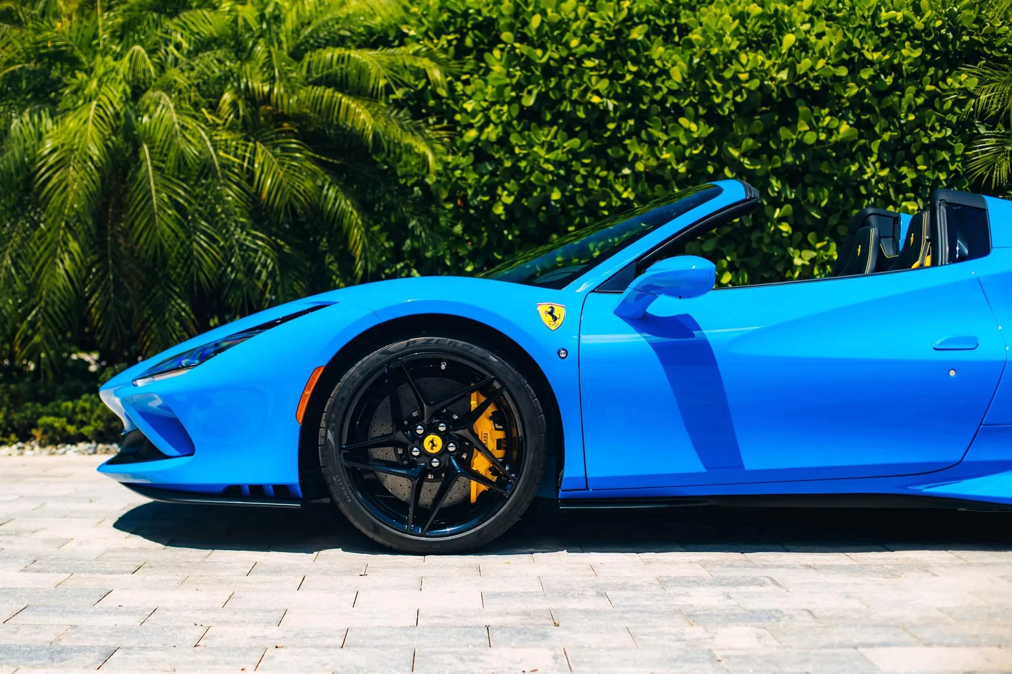 Azzurro Dino Ferrari F8
