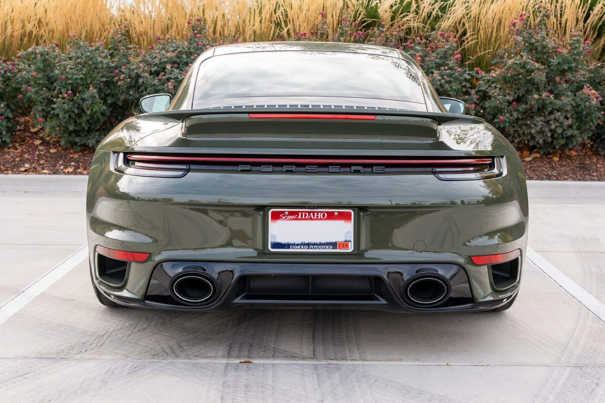 Black Olive Porsche 911 Turbo