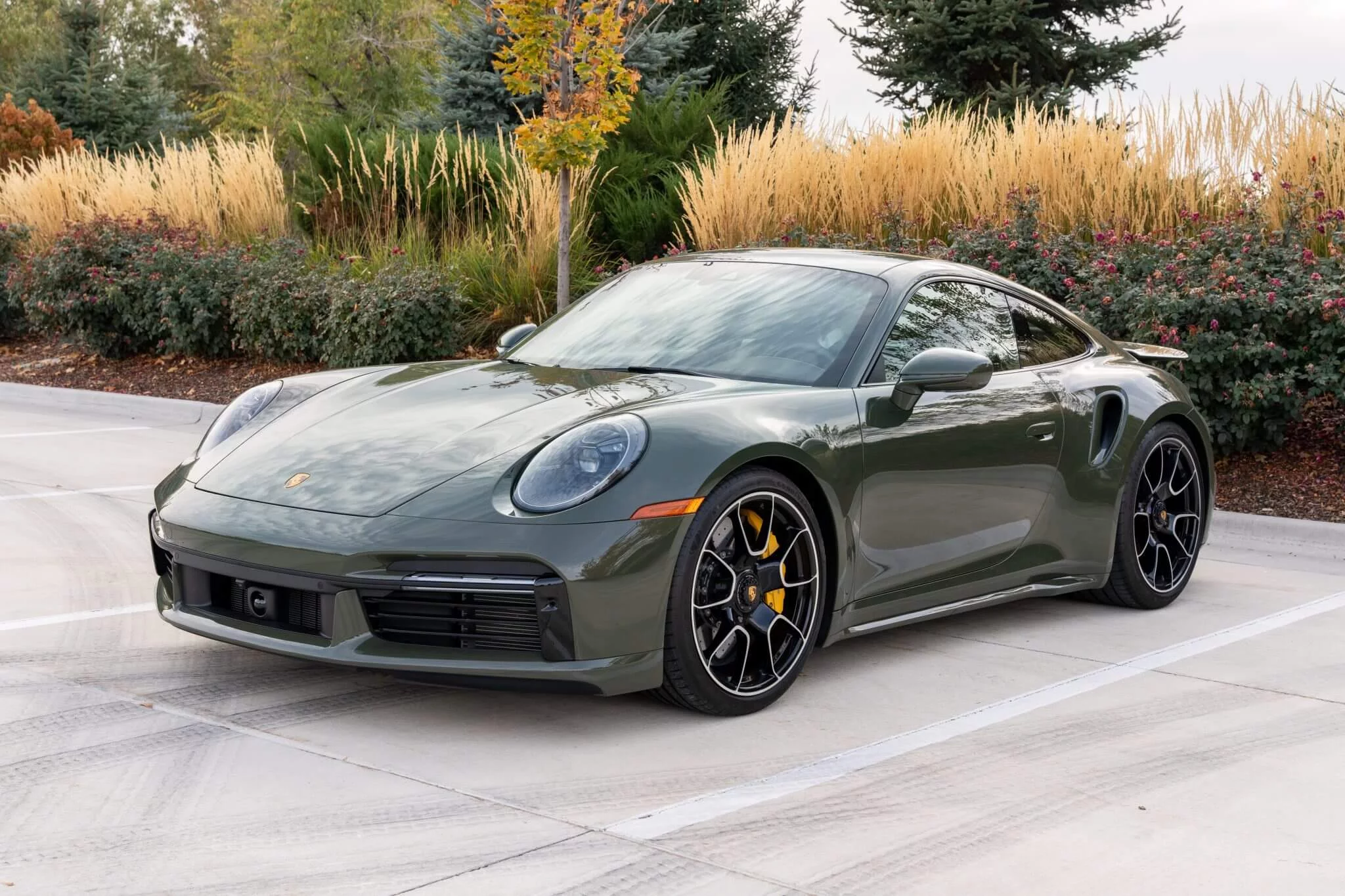 Black Olive Porsche 911 Turbo
