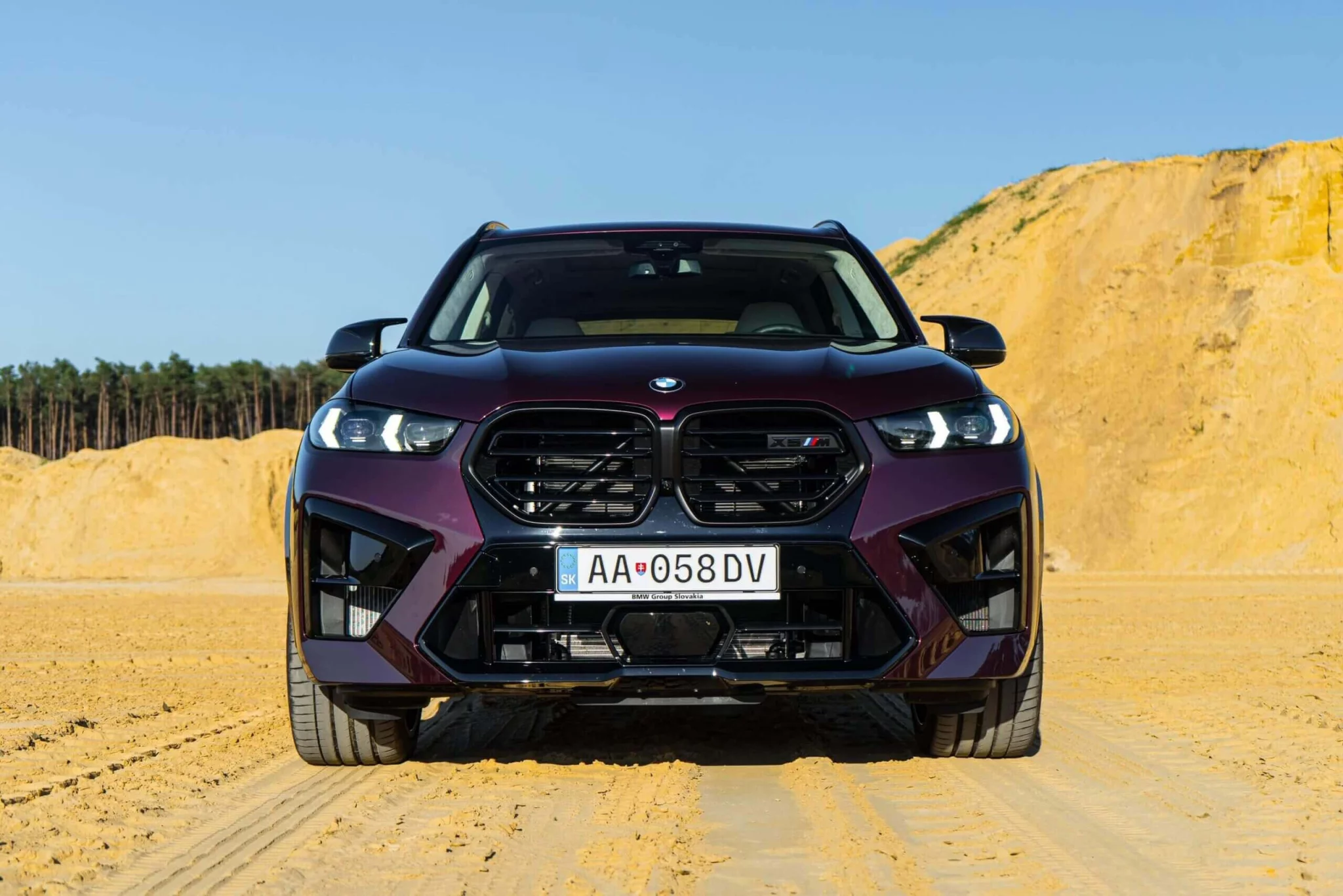 Wildberry BMW X5
