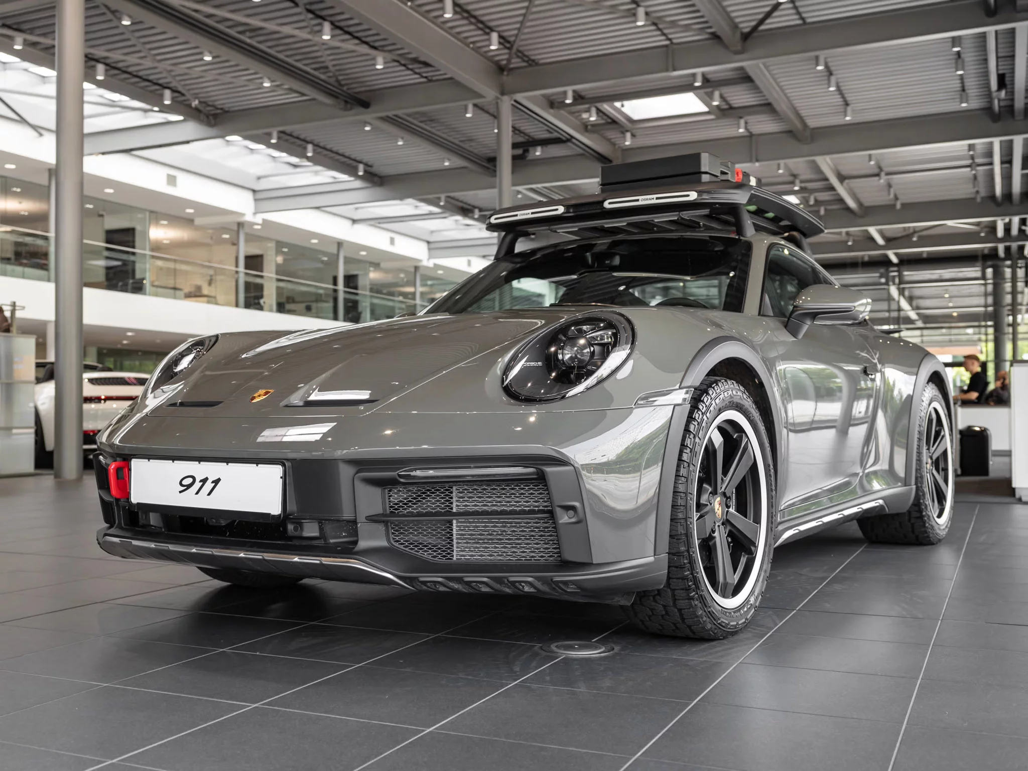 Alex Grey Porsche 911 Dakar