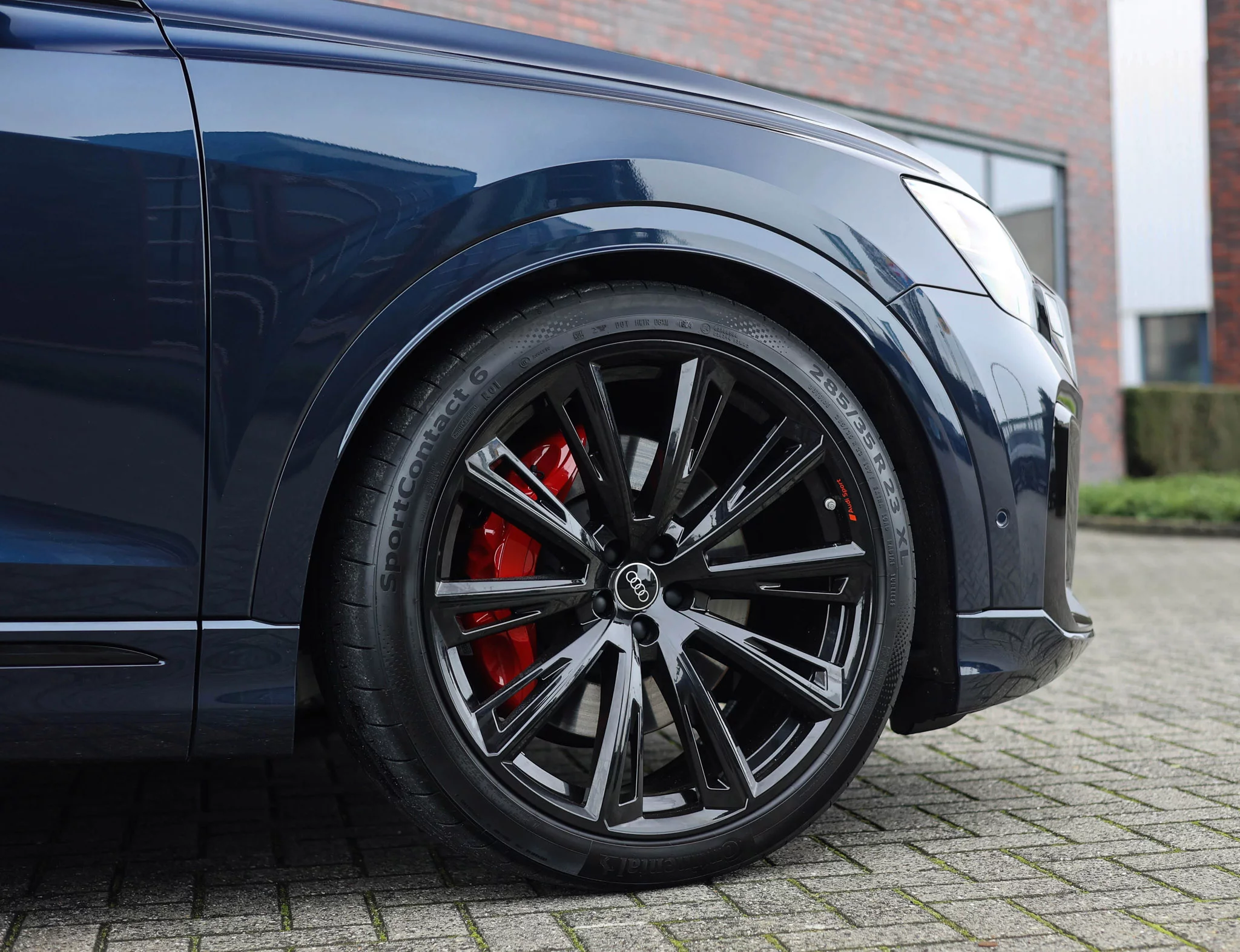 Waitomo Blue Audi Q8