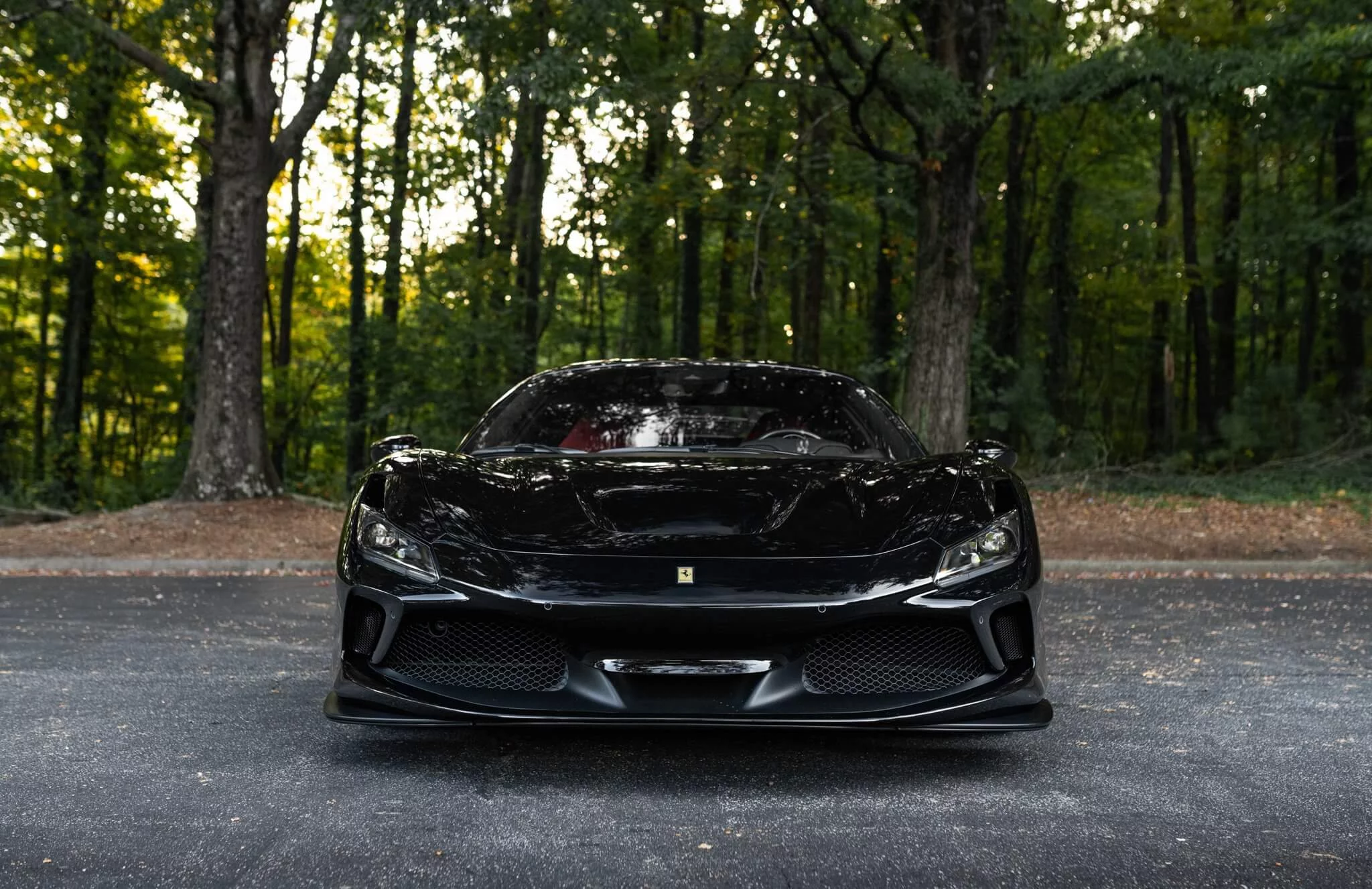 Nero DS Ferrari F8