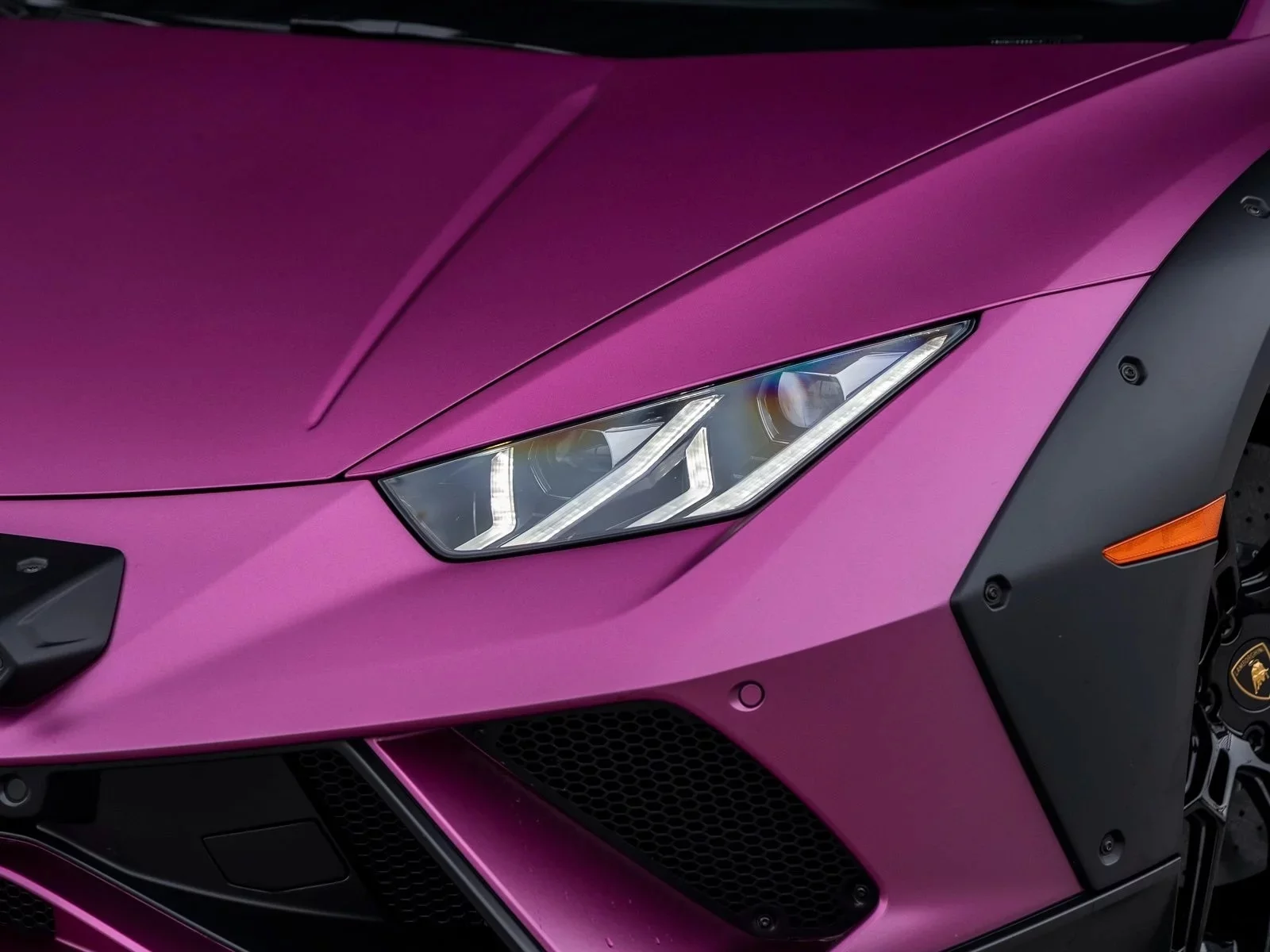 Viola Rubus Lamborghini Huracán