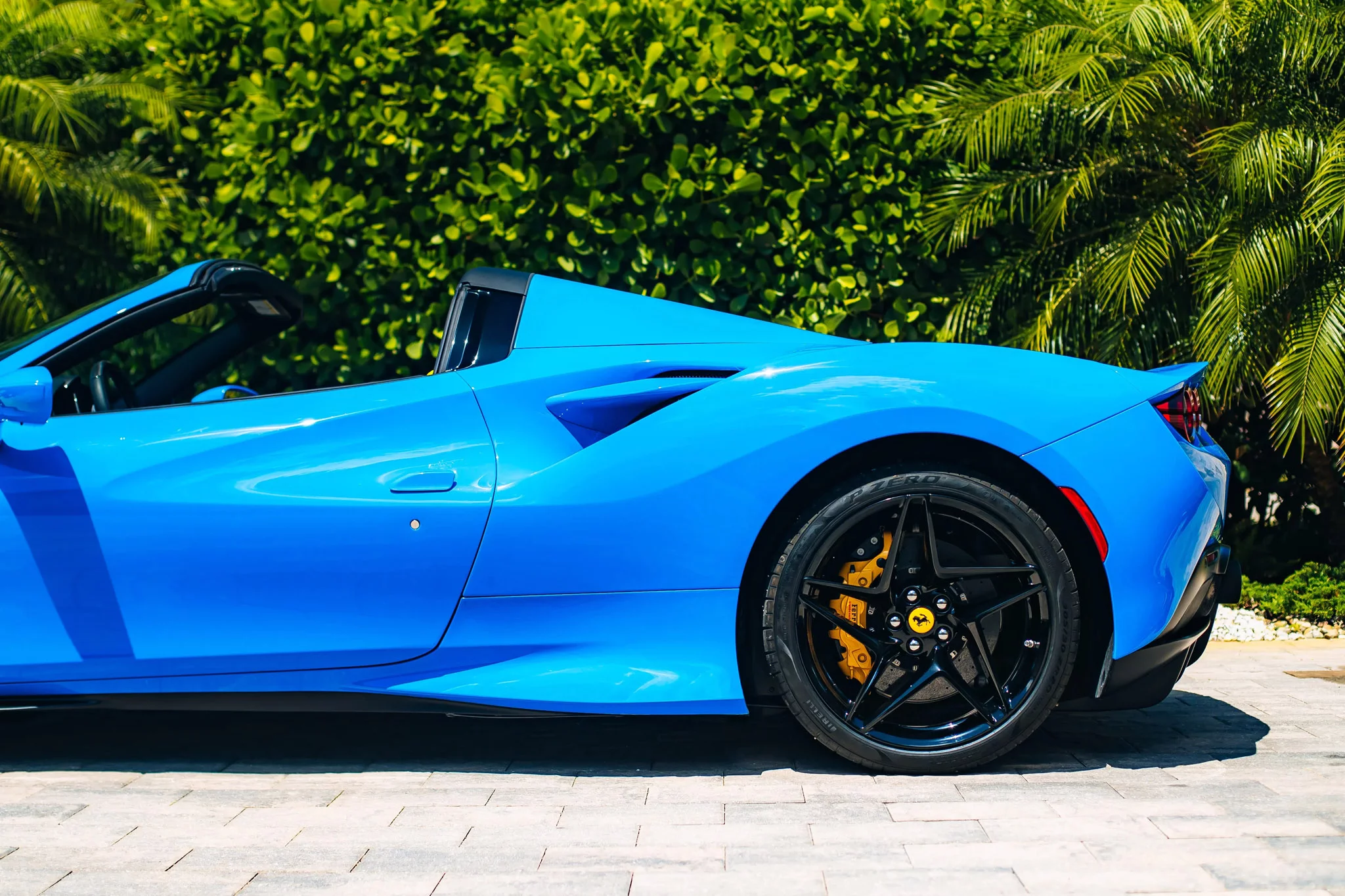 Azzurro Dino Ferrari F8