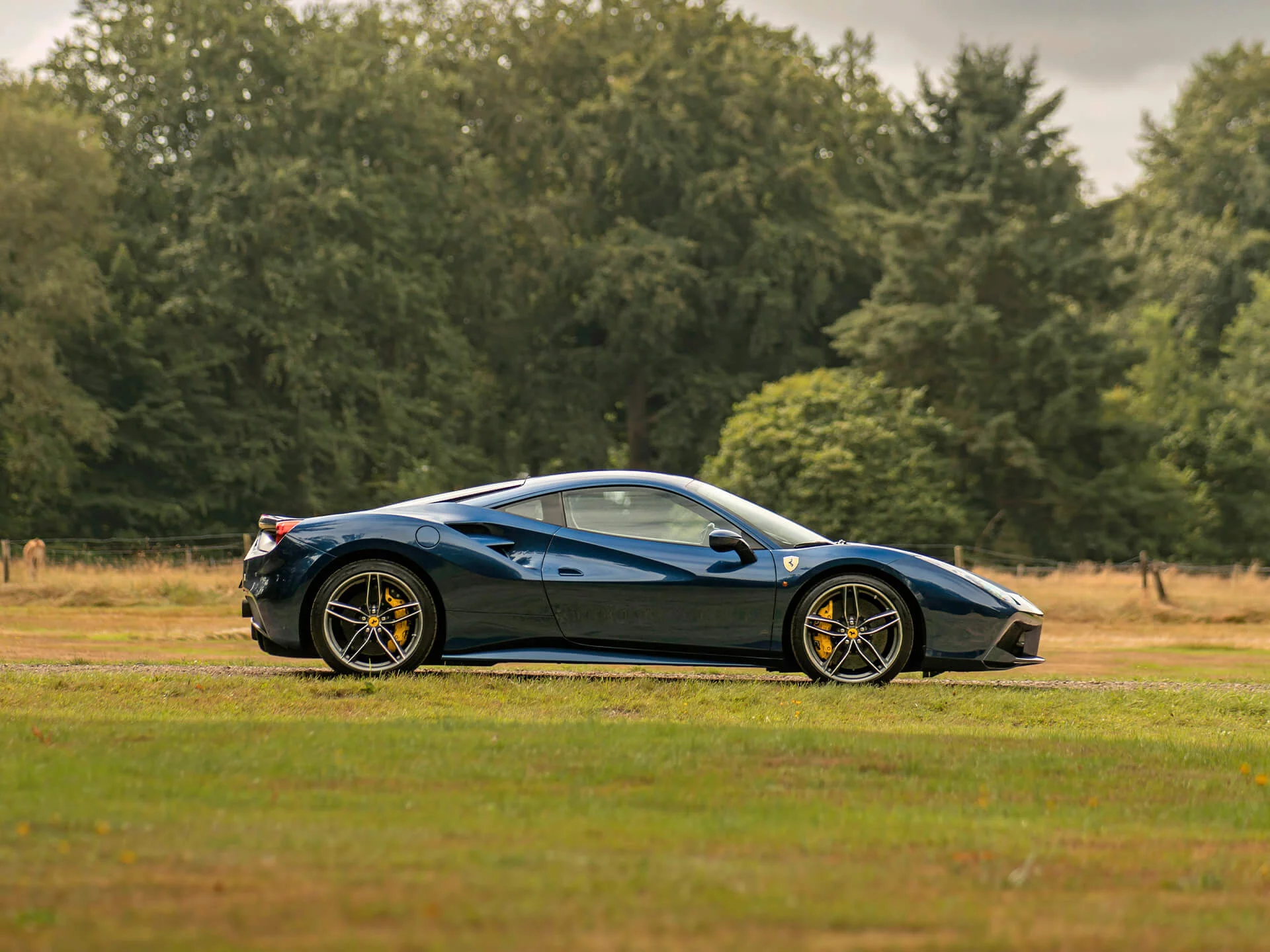 Blu Tour de France Ferrari 488