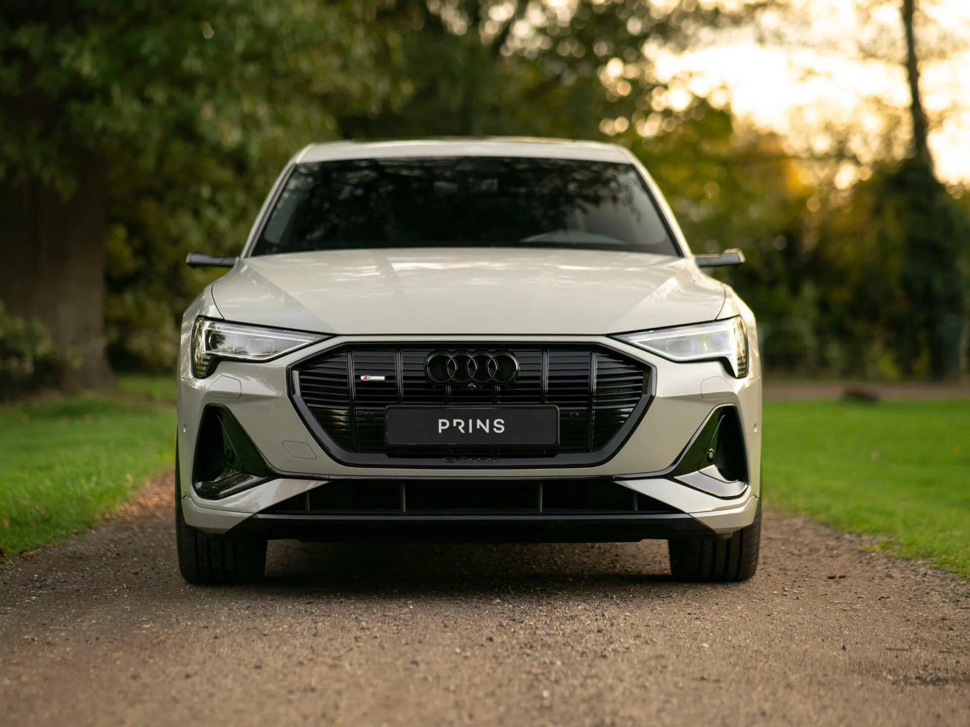 Siam Beige Audi e-tron