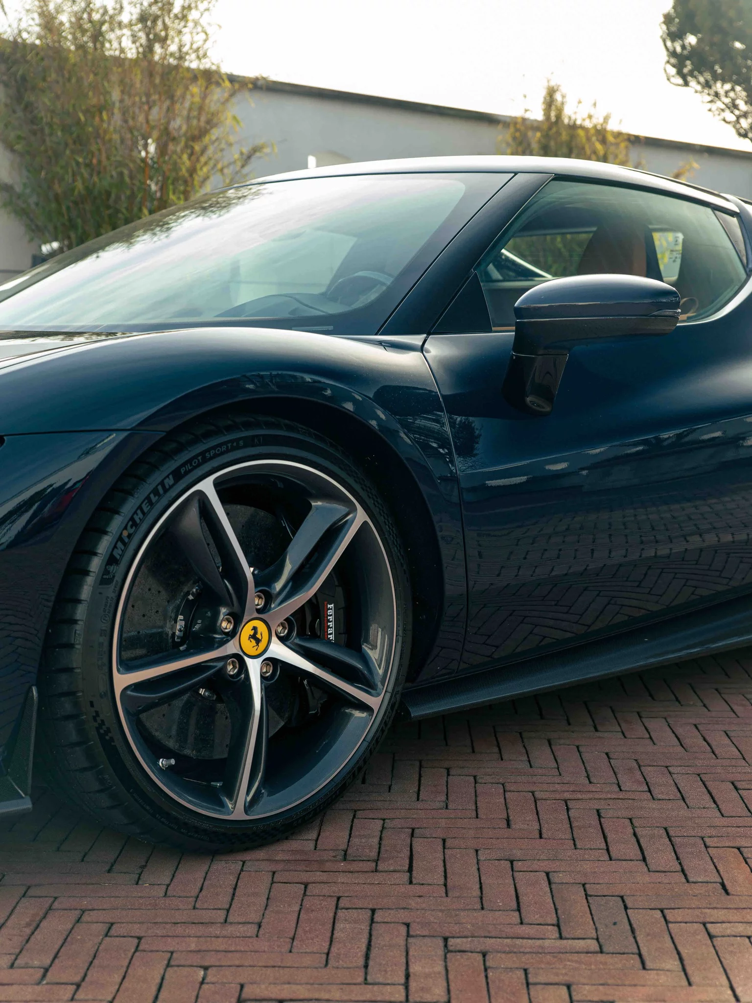 Blu Pozzi Ferrari 296