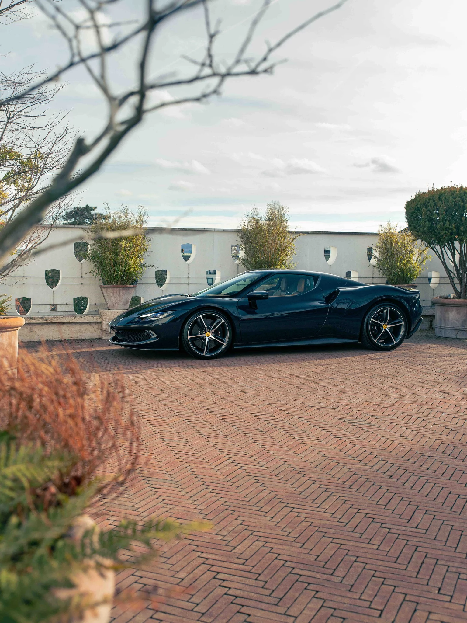 Blu Pozzi Ferrari 296