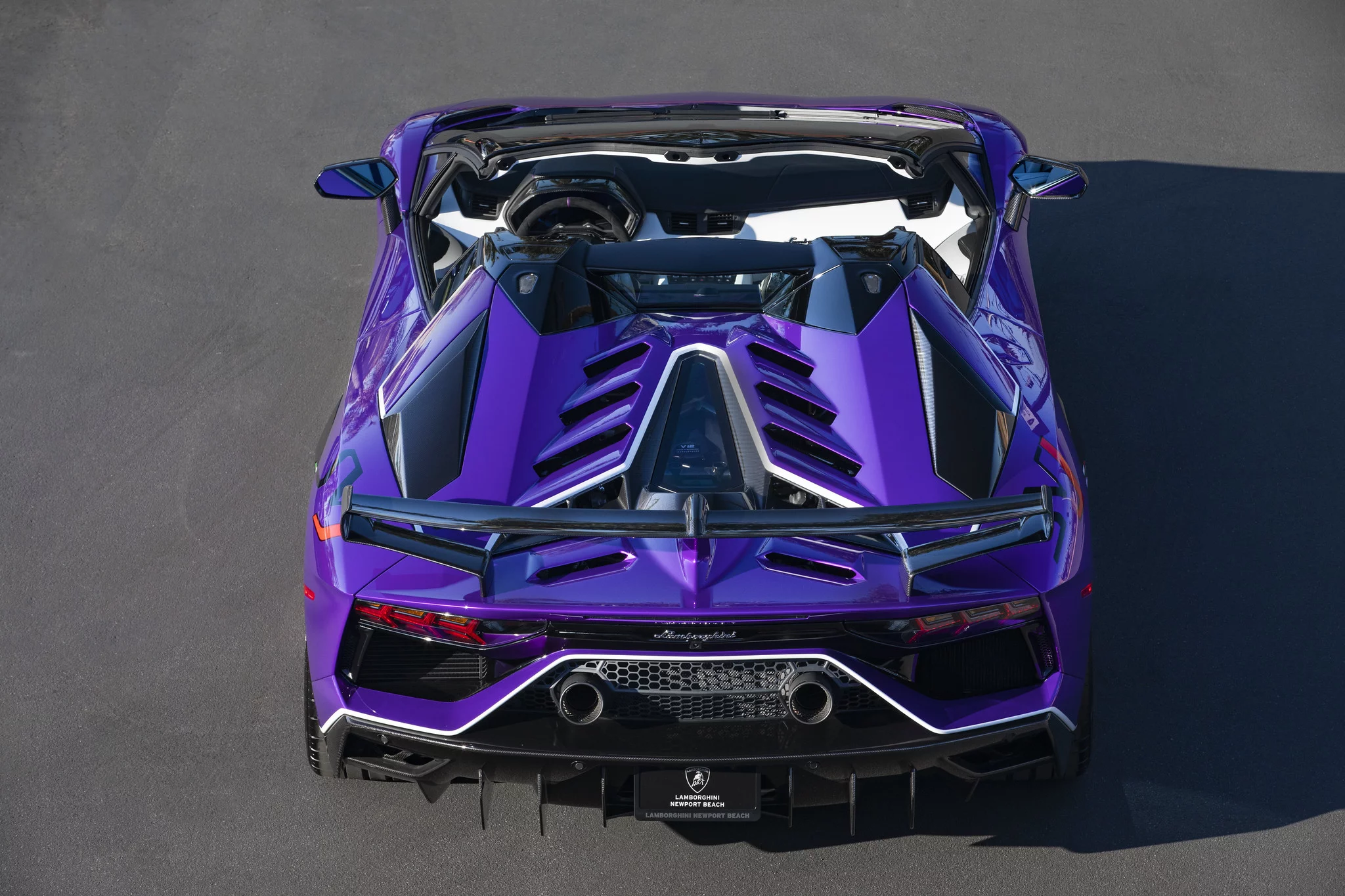 Viola Pasifae Lamborghini Aventador