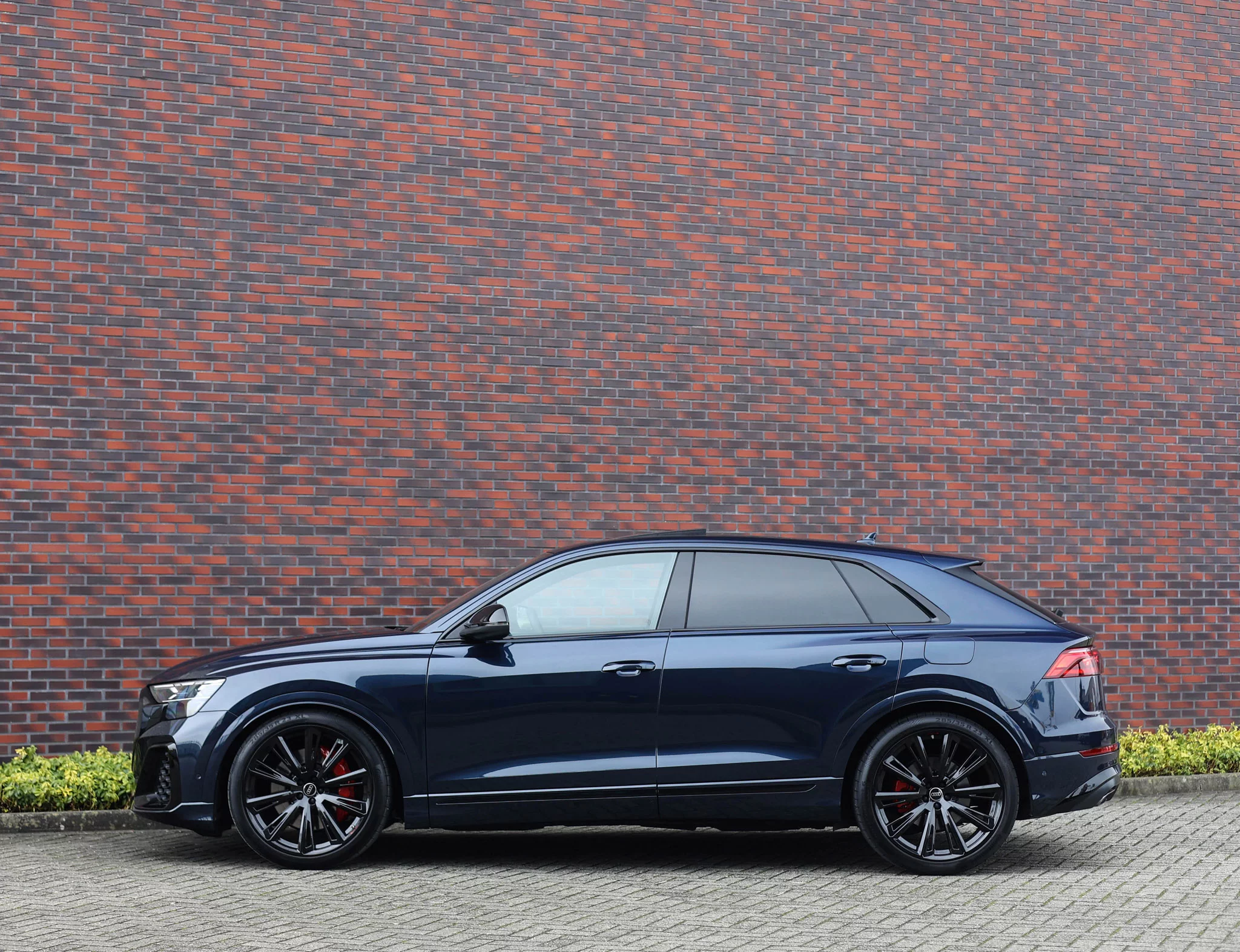 Waitomo Blue Audi Q8