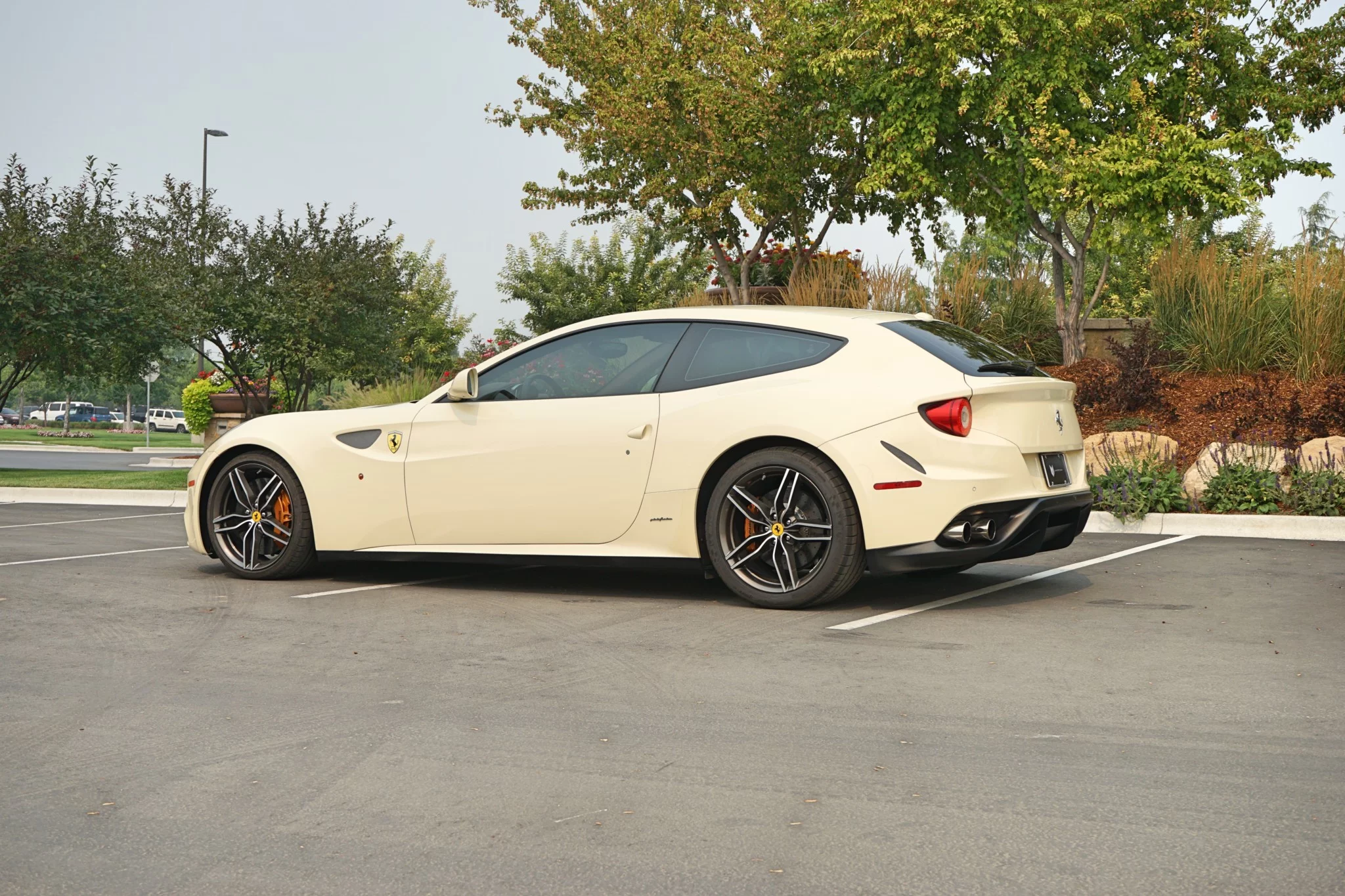 Avorio Ferrari FF