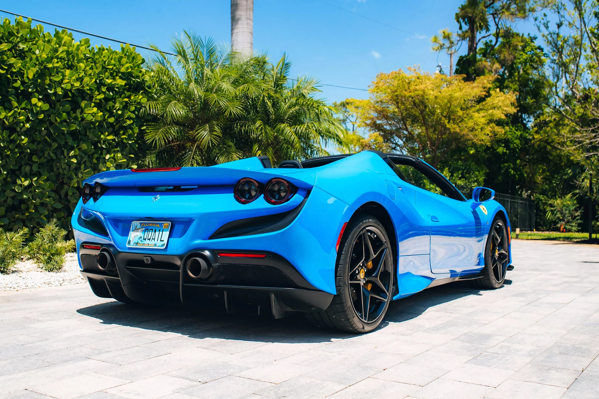 Azzurro Dino Ferrari F8