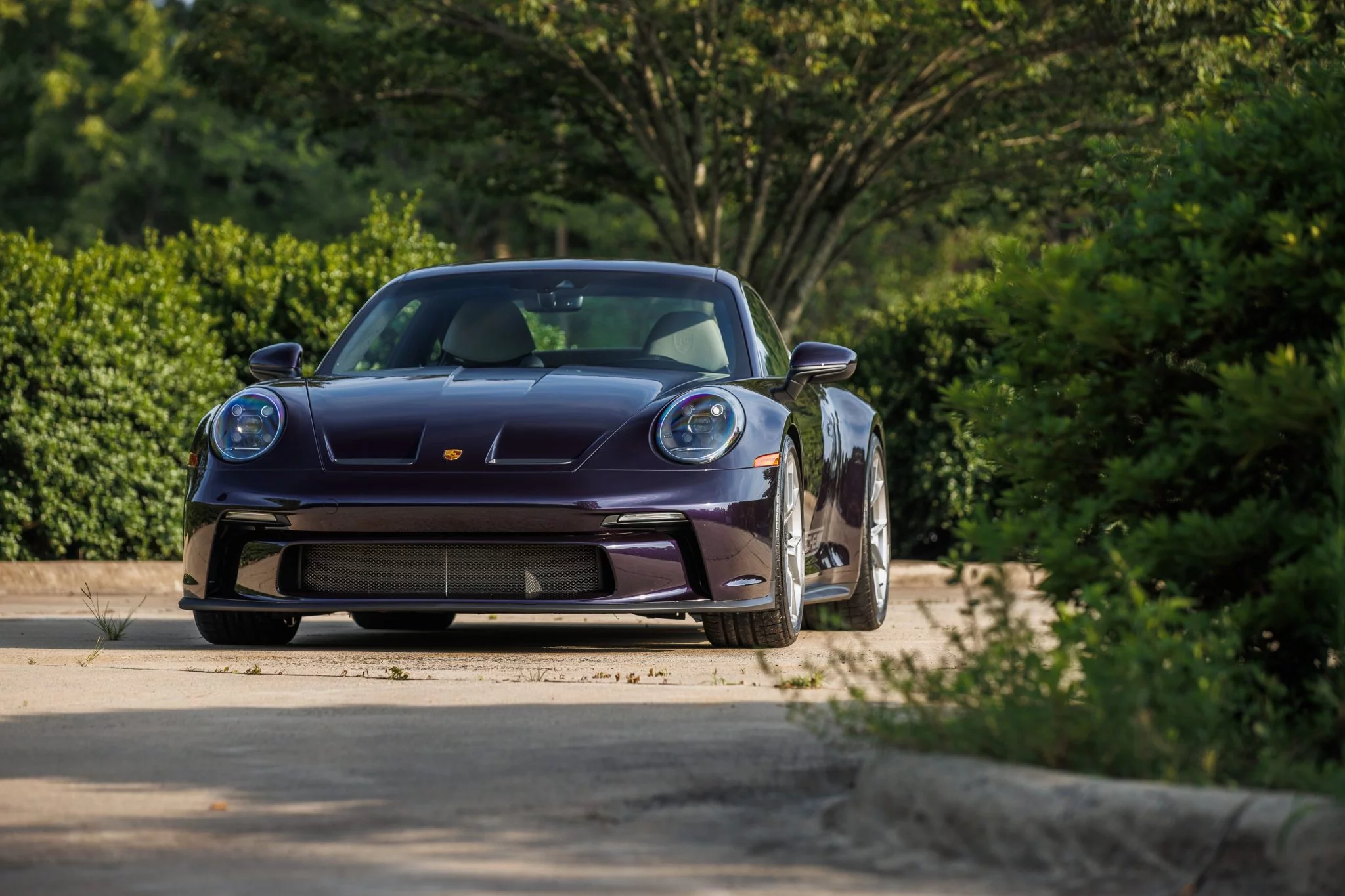 Viola Metallic Porsche 911 GT3
