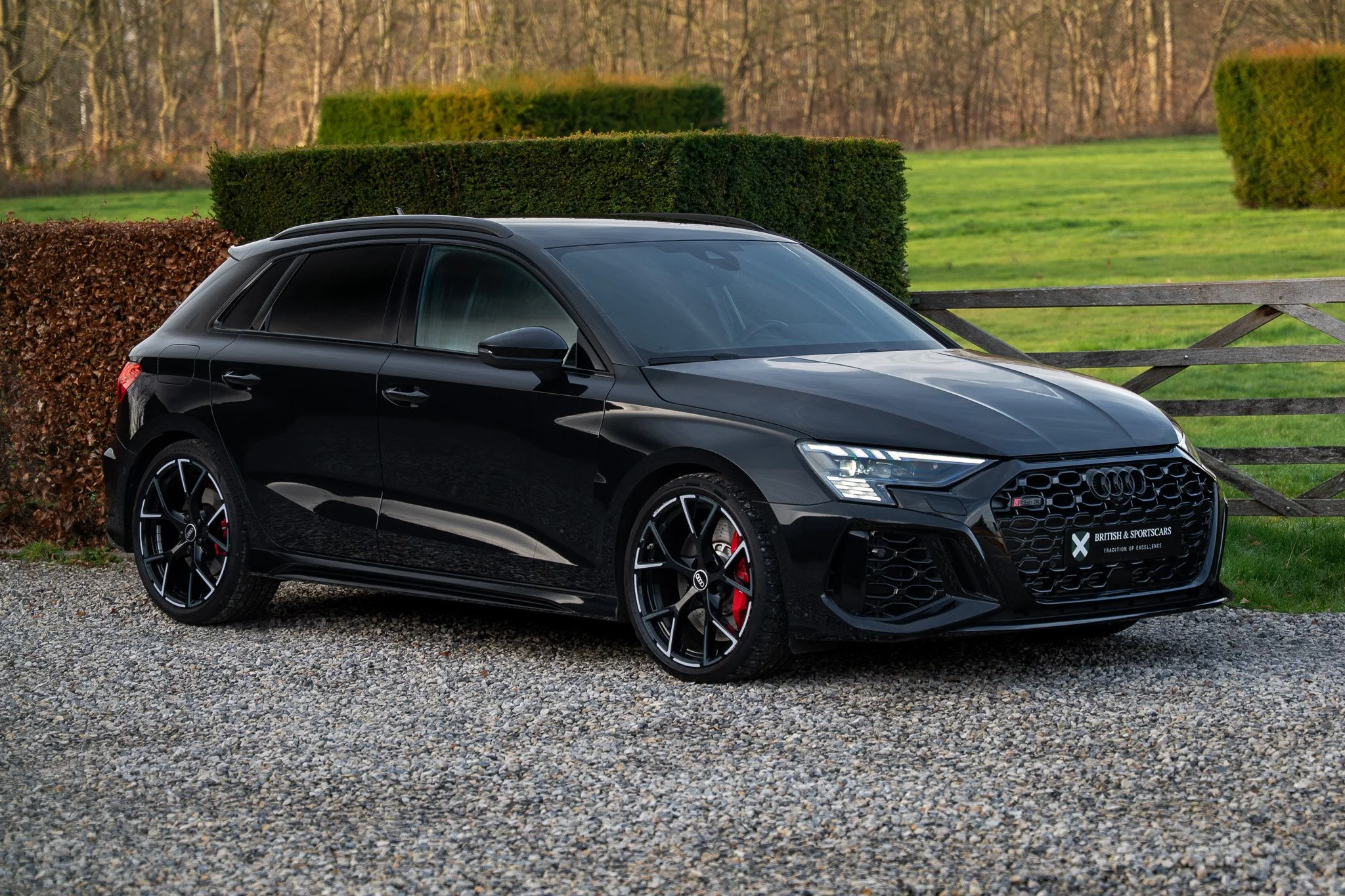 Mythos Black Audi RS3