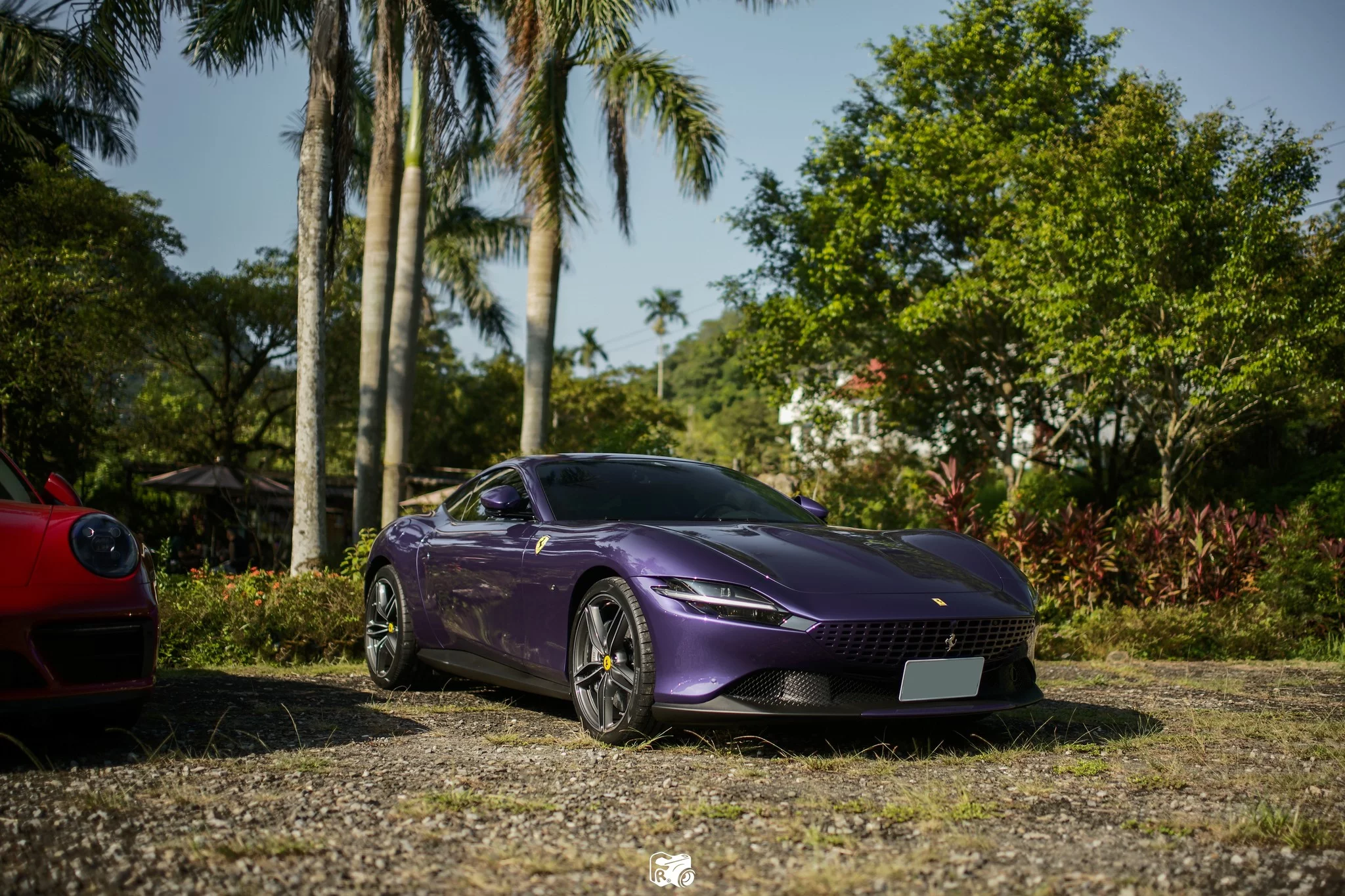 Violetto Dino Ferrari Roma