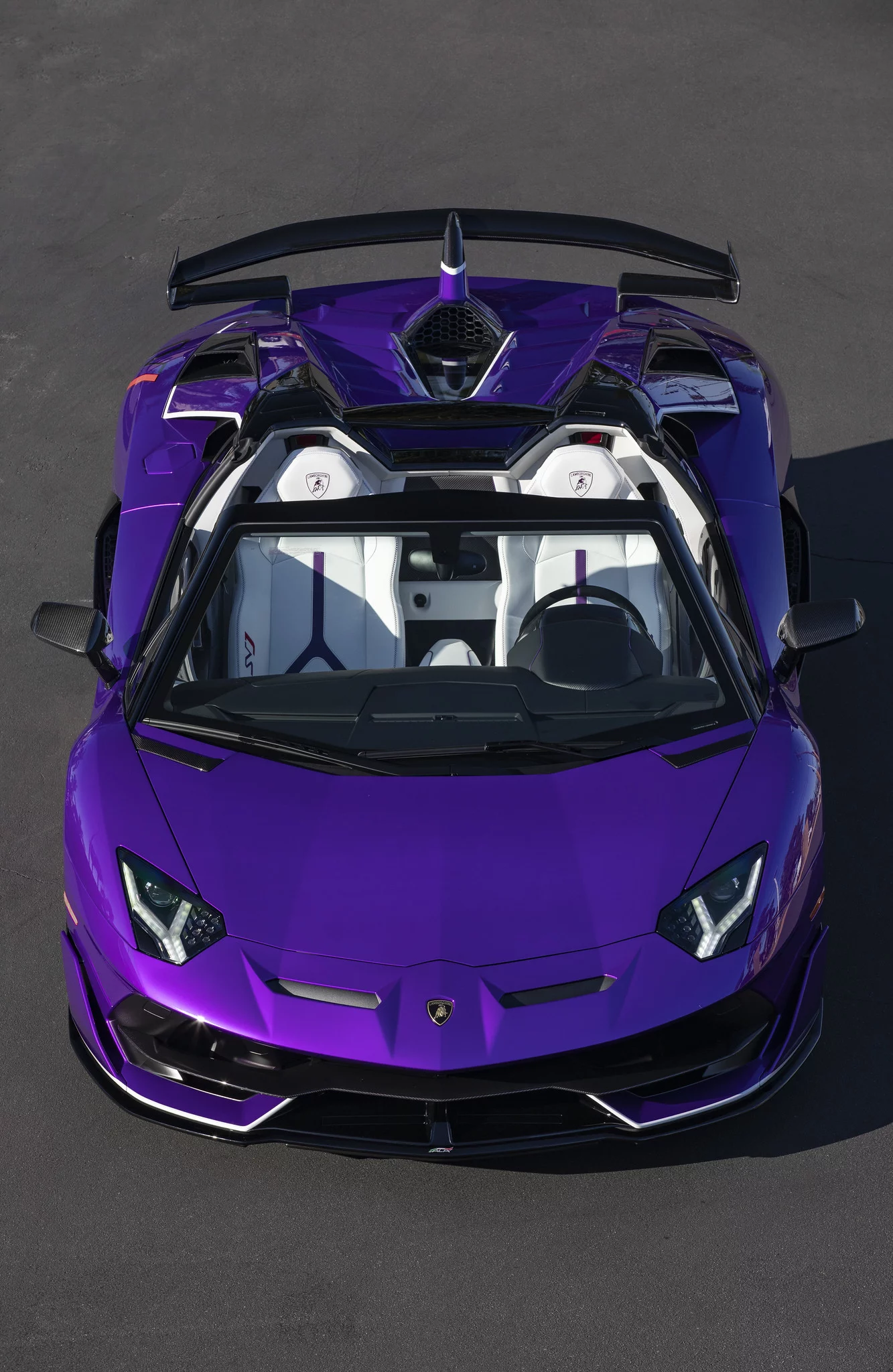 Viola Pasifae Lamborghini Aventador