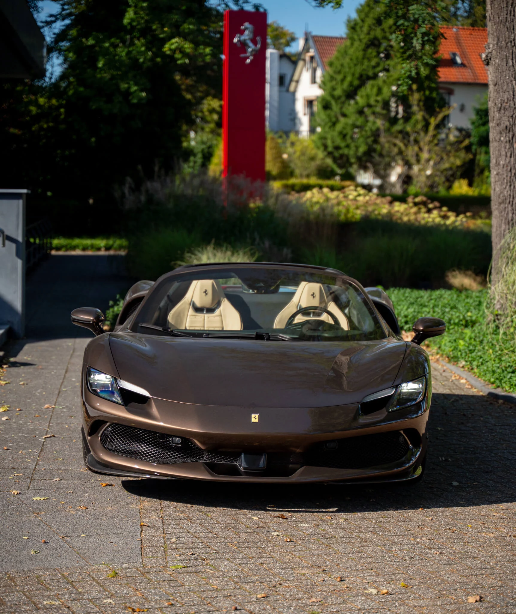 Marrone Luci Di Bosco Ferrari 296