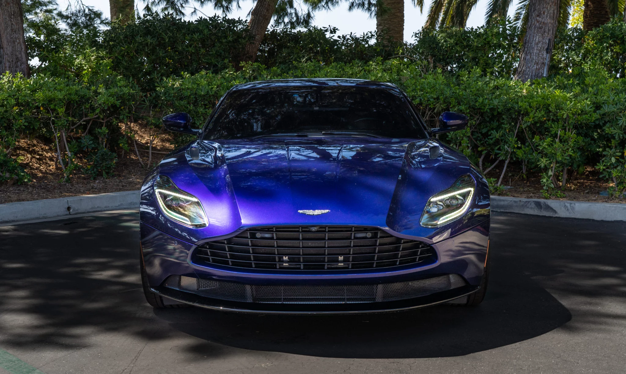 Royal Indigo Aston Martin DB11