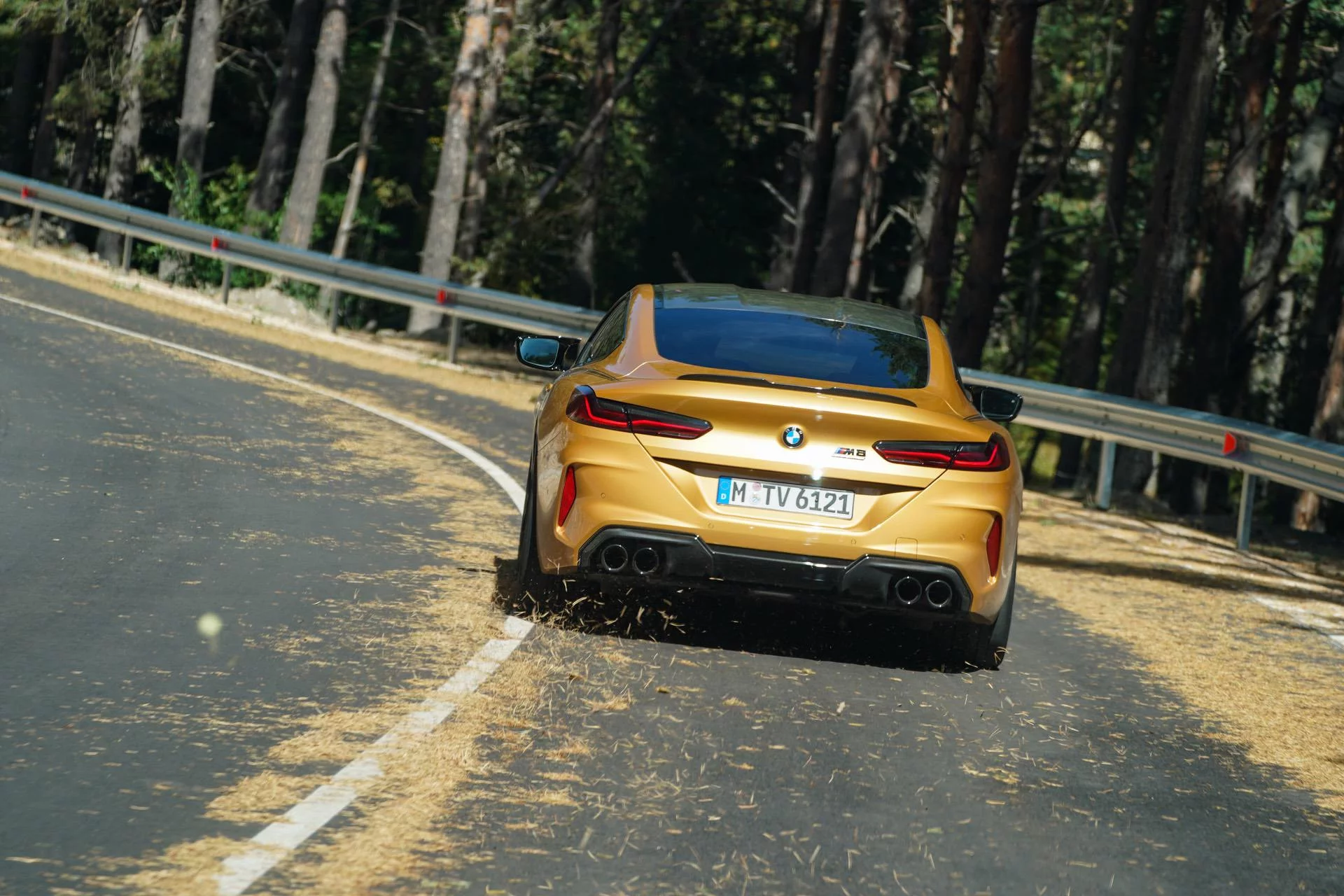 Ceylon BMW M8
