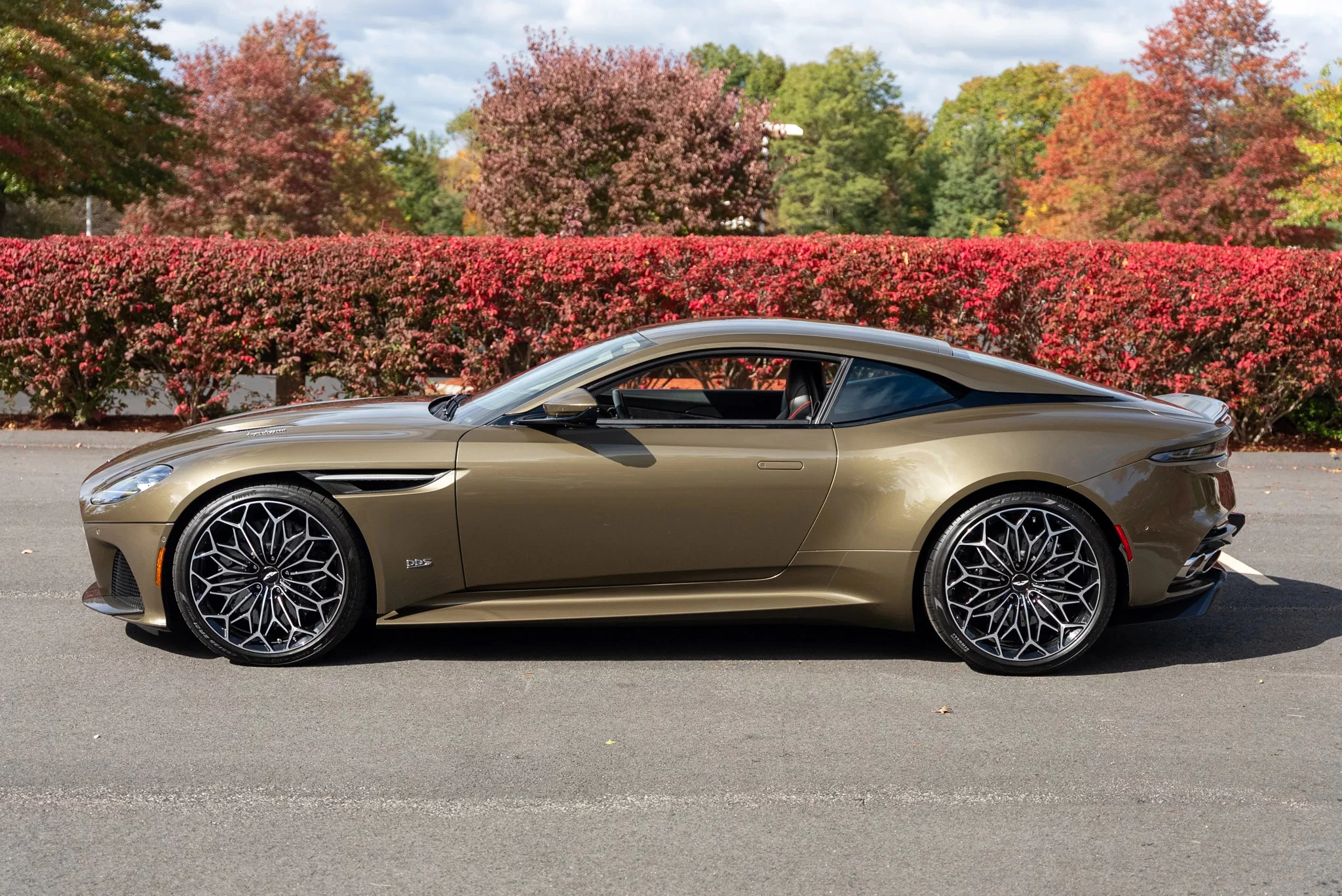 Olive Green Aston Martin DBS