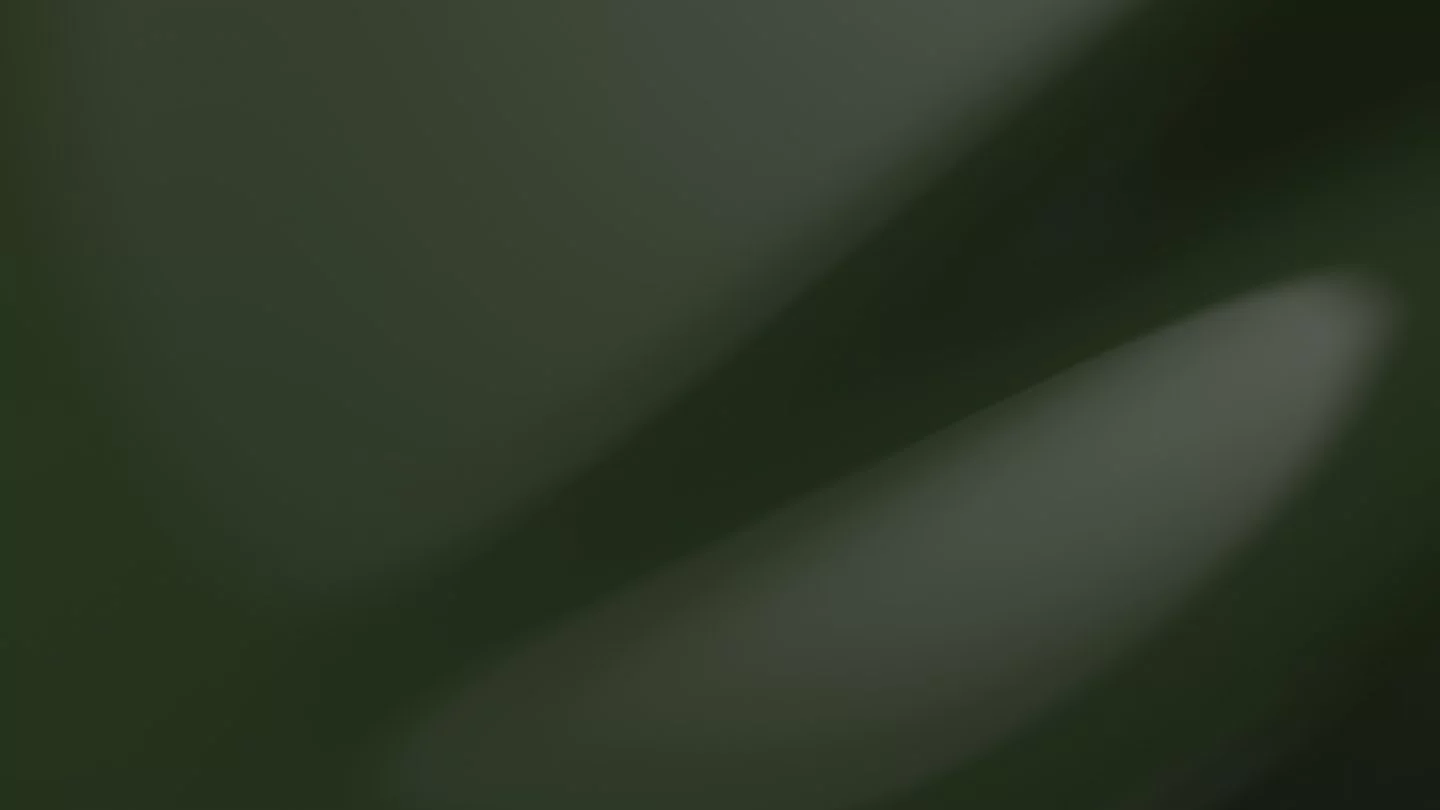 Quercus Verde