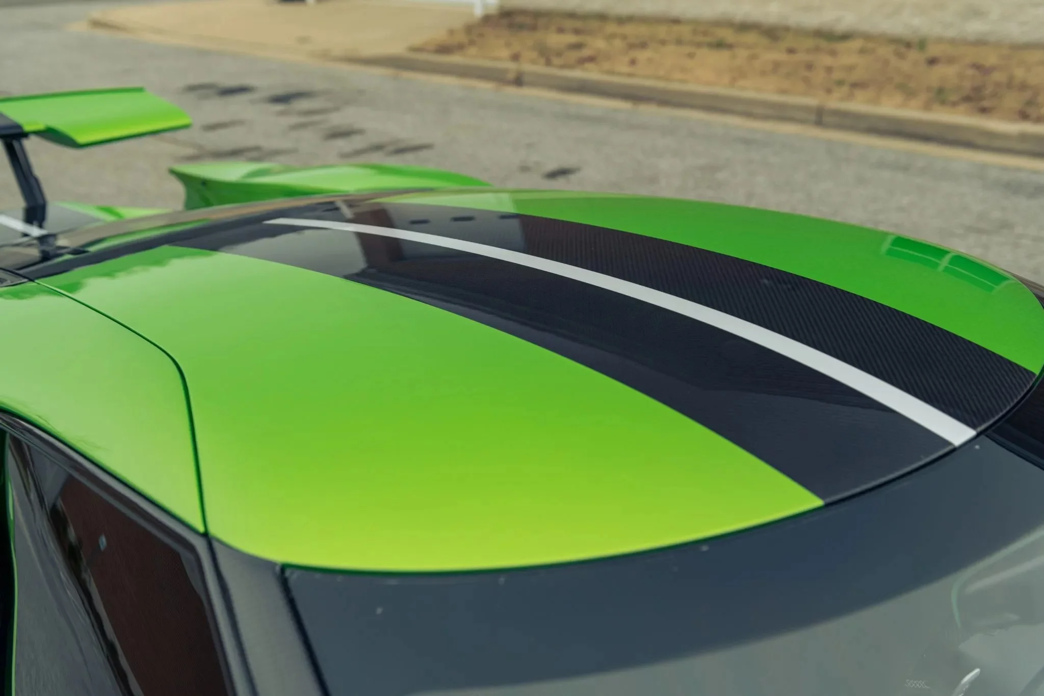 Snakeskin Green Ford GT