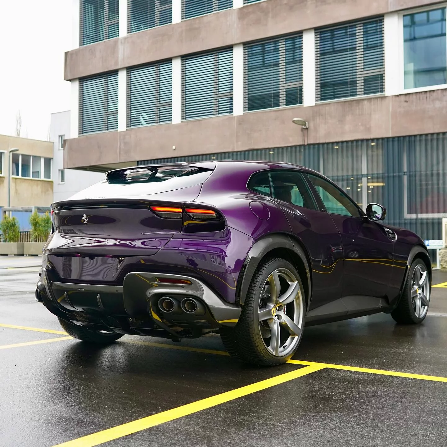 Viola Hong Kong Ferrari Purosangue