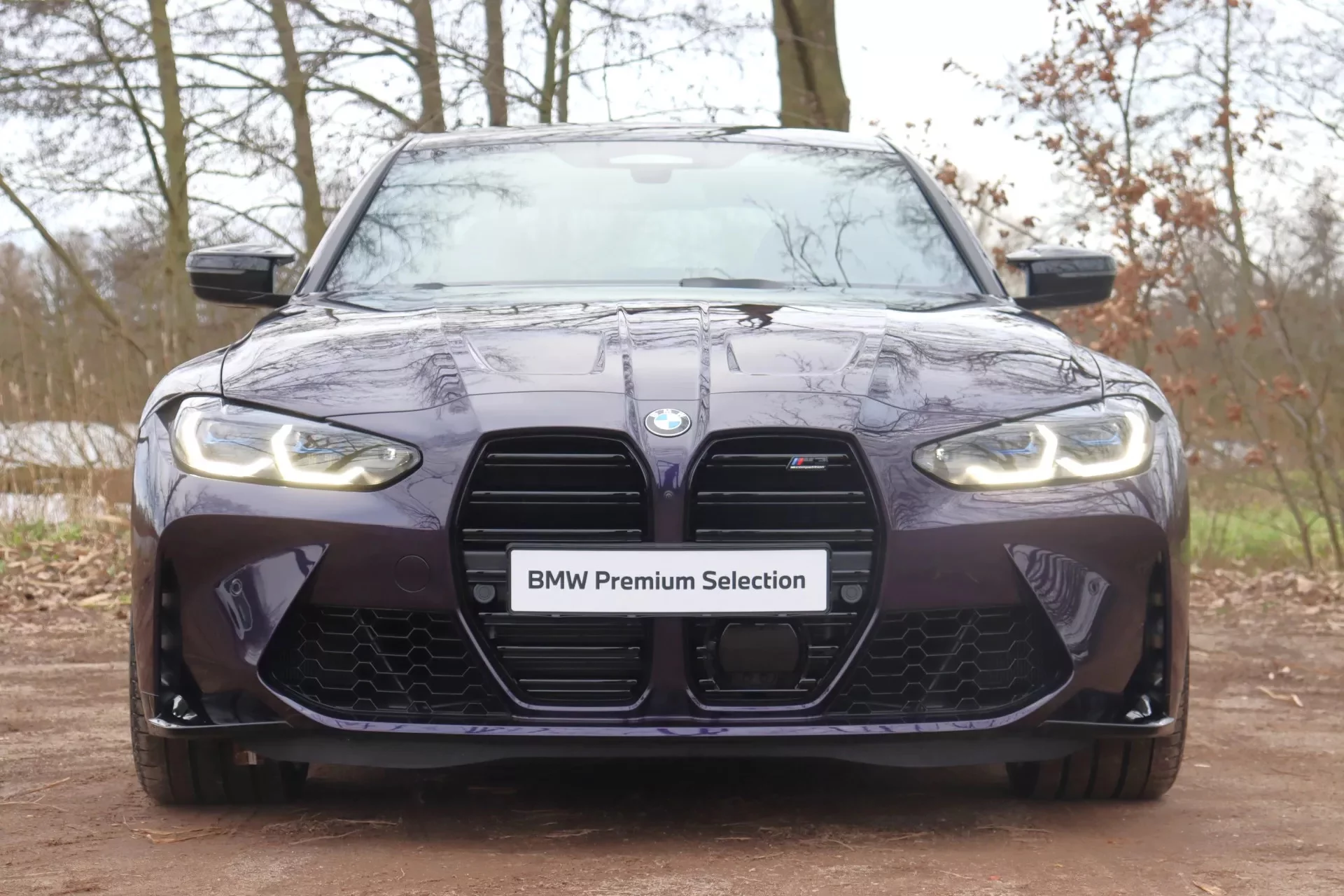 Venetian Violet BMW M3