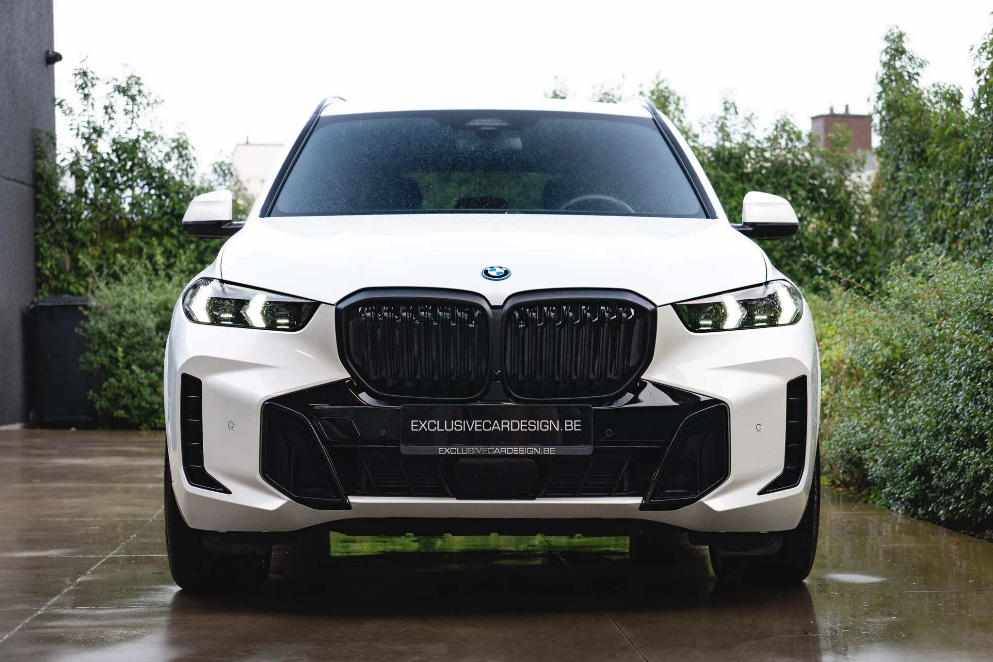 Mineral White BMW X5