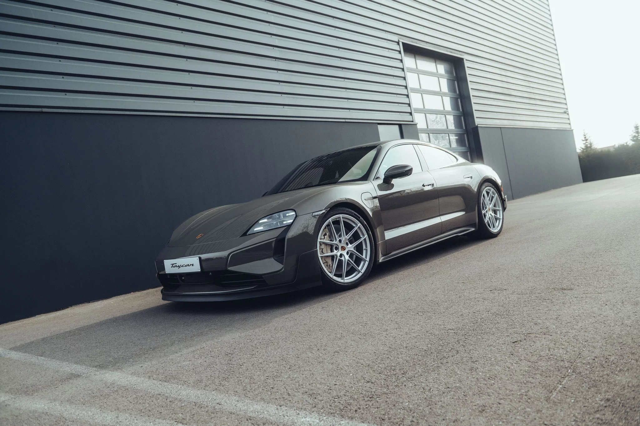 Alex Grey Porsche Taycan