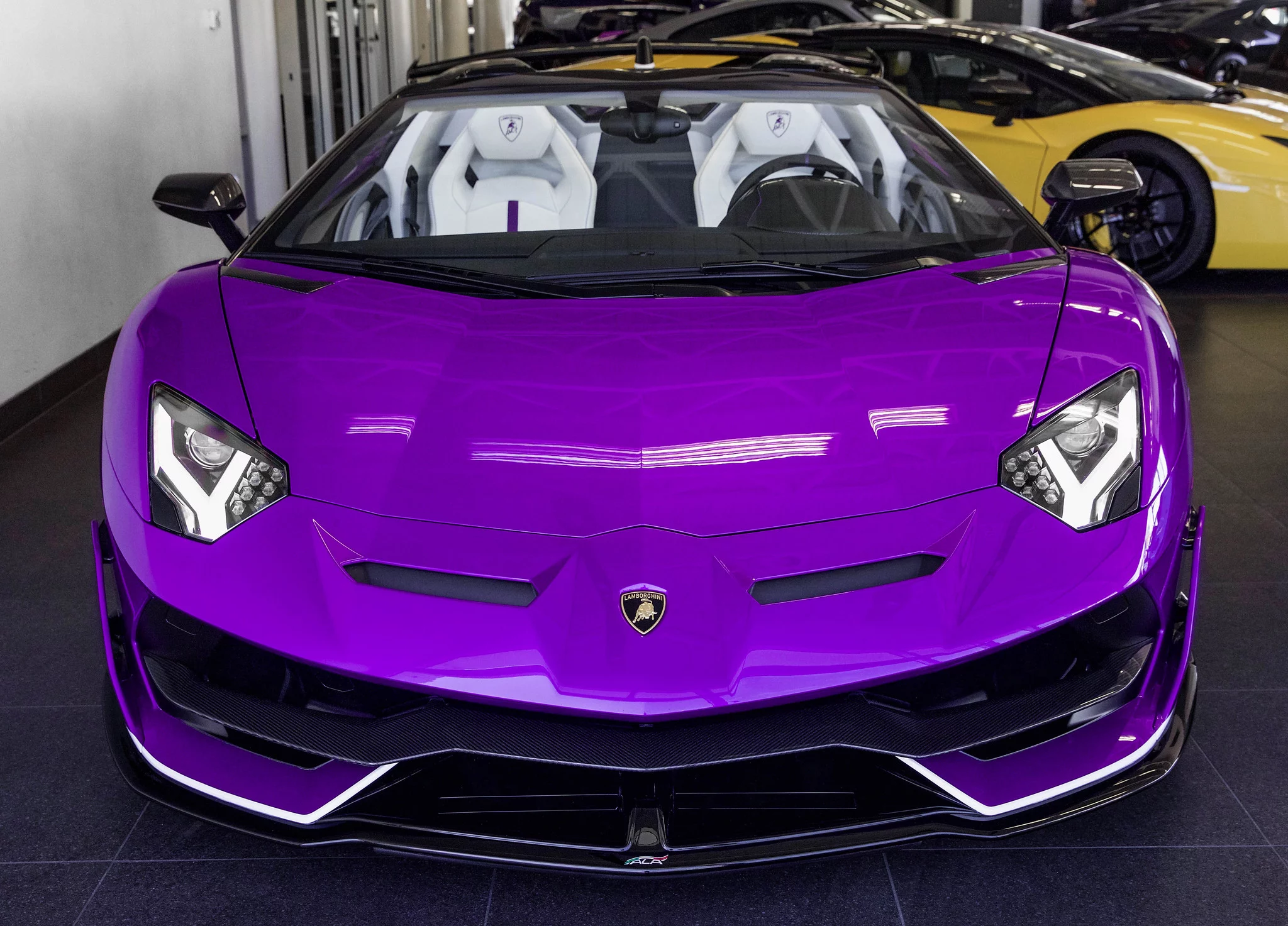 Viola Pasifae Lamborghini Aventador